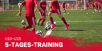 Cover FC BAYERN CAMPUS TRAINING / HALDENSLEBER SC E.V. (SACHSEN-ANHALT) 