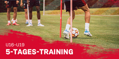FC BAYERN CAMPUS TRAINING / VFL NAGOLD E.V. (BADEN-WÜRTTEMBERG)